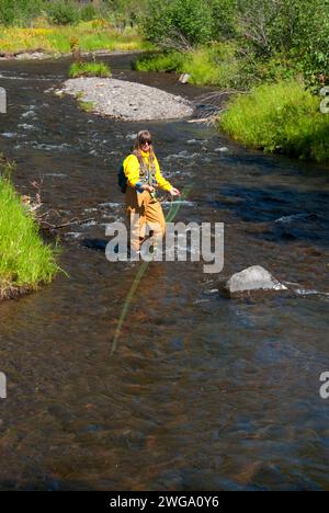 Fly fishing, North Fork Malheur Wild and Scenic River, Malheur National Forest, Oregon Stock Photo