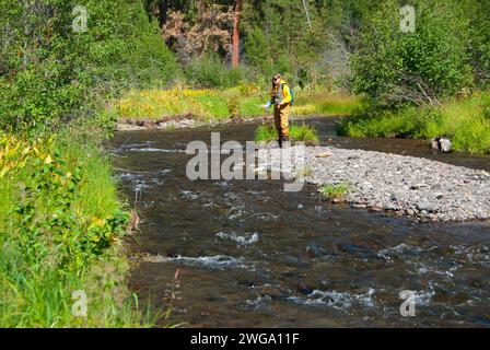 Fly fishing, North Fork Malheur Wild and Scenic River, Malheur National Forest, Oregon Stock Photo