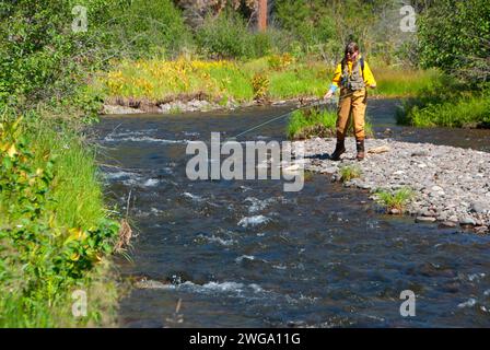 Fly fishing, North Fork Malheur Wild and Scenic River, Malheur National Forest, Oregon Stock Photo