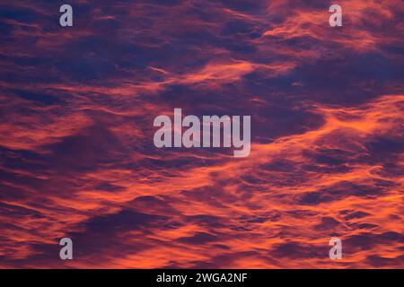 Reddish orange cloud structures, dawn Stock Photo