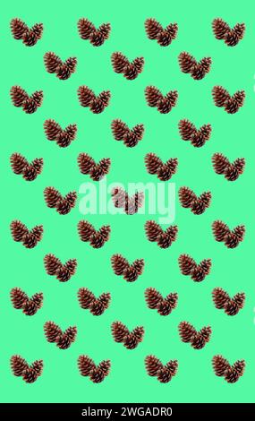 Pattern of natural dried pine cones on mint green background Stock Photo