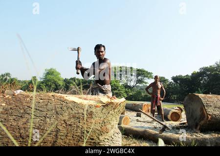 Men in Bangladesh cutting logs. Trees have been cut for the usage of ...