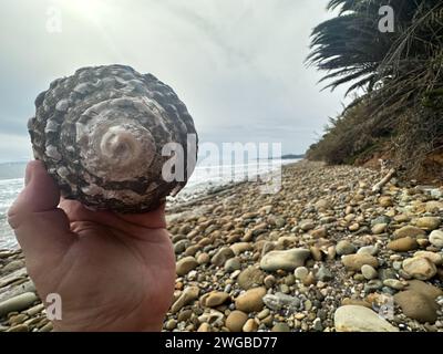 Montecito, California, U.S.A. 3rd Feb, 2024. Butterfly Beach, in Montecito, which has been one of Santa Barbara County's most beautiful and pristine stretches of shoreline, was stripped of sand and littered with rocks & debris after the last rainstorm, which leaves local residents wondering what this weekend's impeding monster 'atmospheric river'' storm will do to the beloved beach that is oft visited by royalty, movie stars, tourists and locals. This shot was taken at Low tide, yet the water is as high up on the beach already as it usually is during High Tide, which makes street flo Stock Photo