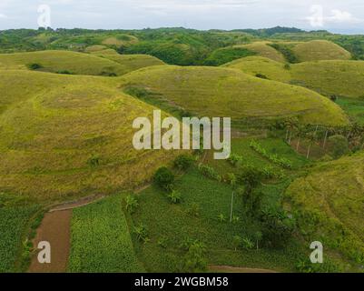 Teletubbies Hill in Nusa Penida, Bali Stock Photo