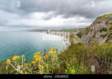 Landscape of the town of Bova Marina with grass meadow and wildflowers in the foreground Stock Photo