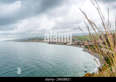 Marina landscape seen from above with stems of grass in the foreground Stock Photo