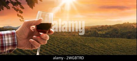 Senior expert winemaker drinking a glass of red wine and view of the vineyard in the background, copy space Stock Photo