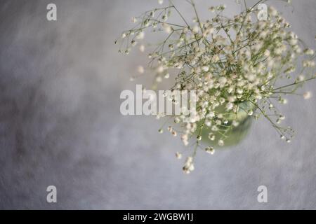 Overhead view of a bunch of  white Gypsophila flowers in a green glass vase on a table Stock Photo