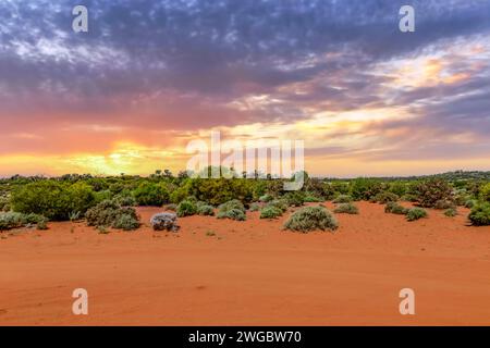 Red Desert near Kalgoorlie at sunset, Western Australia, Australia Stock Photo