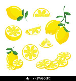 Set of whole, cut in half, sliced on pieces lemon isolated on white background. Set of fresh yellow lemon in various styles vector format. Stock Vector