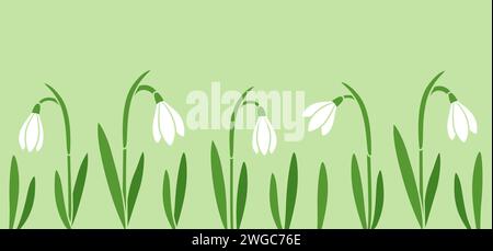 Snowdrop flowers, cute spring banner on green background. Simple flat cartoon vector illustration. Stock Vector