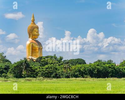 The Giant Buddha at Wat Muang, Ang Thong, Thailand.  The statue is 92 metres tall, and was completed in 2008 after a construction period of 18 years. Stock Photo