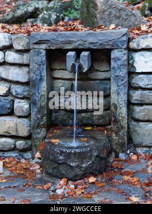 Natural stone and concrete podium on natural green background for empty product presentation. The background of cosmetic products, the scene with gree. Stock Photo