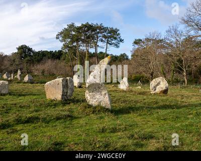 Standing stones of Kermario near Carnac, Britany, France Stock Photo