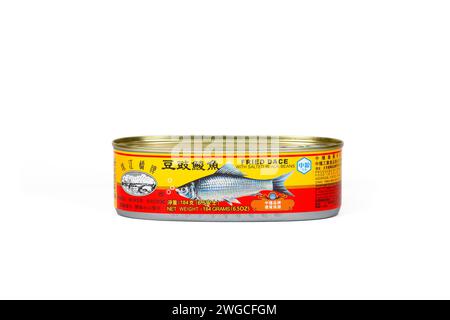 A can of Pearl River Bridge Fried Dace with Salted Black Beans 珠江橋牌 豆豉鯪魚 crispy fried mud carp Cirrhinus molitorella isolated on a white background. Stock Photo