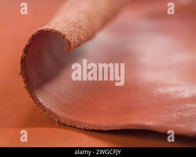 A closeup of a rolled leather on leather base Stock Photo