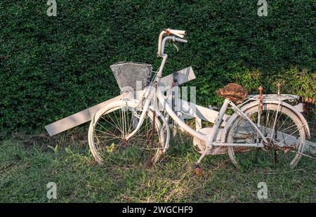Antique white bike collection on green leaves background Stock Photo