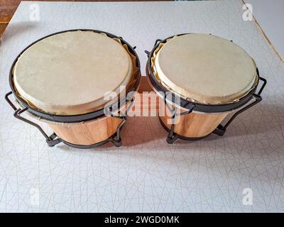 Set of Bongo Drums Isolated on a White Background. Latin percussion. Stock Photo