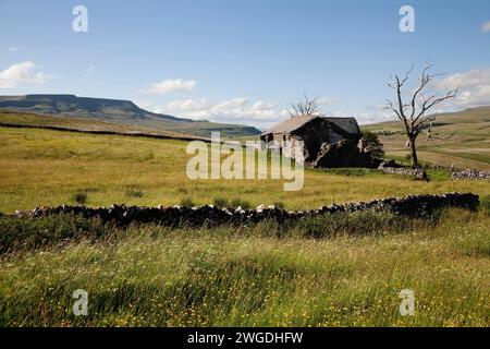 View of the Wild Boar Fell ridge from a ruined farmhouse in the Upper Eden Valley in Cumbria, UK Stock Photo