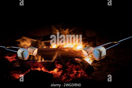 Copy space above marshmallows roasting over an outdoor fire at night Stock Photo