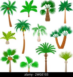 Cartoon palm trees. Isolated palms, beach or tropical forest elements. Exotic tree with fruits and coconuts and giant leaves. Neoteric nature vector Stock Vector