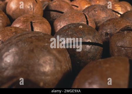 Macadamia nut in a shell close up. Macadamia nuts texture background. Macadamia nuts macro. Stock Photo