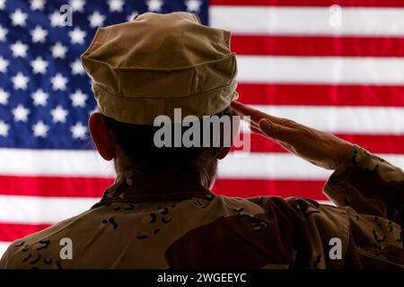 Female Soldier saluting the American Flag with shallow depth of field Stock Photo