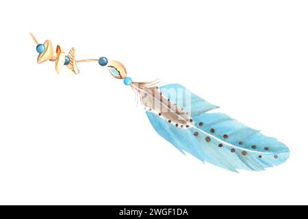 Watercolor composition from small sea shells, pebbles and blue feathers ...
