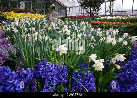 A sculpture surrounded by the spring flowers inside a conservatory Stock Photo