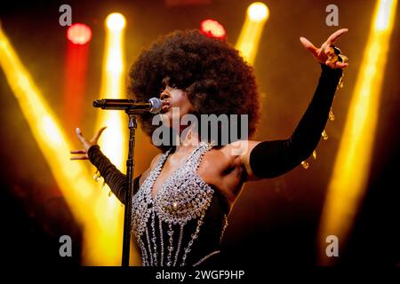 Italy 4 February 2024 Tanerélle Stephens - singer, songwriter and actress  - live at Fabrique Milan © Andrea Ripamonti / Alamy Stock Photo