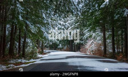 The entrance road to Peaks-Kenny State Park in Maine, passing through a spruce-fir forest. A snow covered landscape after the first winter storm. Stock Photo