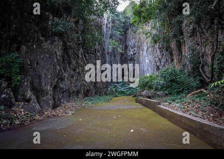 Mae Sai, Chiang Rai, Thailand. 17th Jan, 2024. Path leading to a cave at the Wat Tham Pla Temple. Wat Tham Pla (Cave Fish Temple) is also referred to as the ''Monkey Temple'' for Thai locals, located 16 kilometers from Mae Sai, the northernmost city of Thailand. (Credit Image: © Guillaume Payen/SOPA Images via ZUMA Press Wire) EDITORIAL USAGE ONLY! Not for Commercial USAGE! Stock Photo