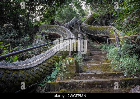Mae Sai, Chiang Rai, Thailand. 17th Jan, 2024. Dragon stairs leading to a cave at the Wat Tham Pla Temple. Wat Tham Pla (Cave Fish Temple) is also referred to as the ''Monkey Temple'' for Thai locals, located 16 kilometers from Mae Sai, the northernmost city of Thailand. (Credit Image: © Guillaume Payen/SOPA Images via ZUMA Press Wire) EDITORIAL USAGE ONLY! Not for Commercial USAGE! Stock Photo