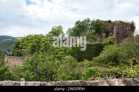 Trees and plants growing around castle ruins on a spring day above Bad Munster, Germany. Stock Photo