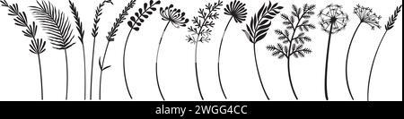 Wild Flowers Collection Black and White. Vector Illustration. Stock Vector