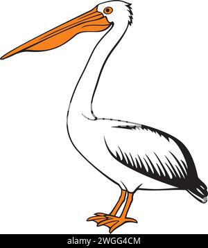 Pelican Bird Color Vector Illustration Stock Vector