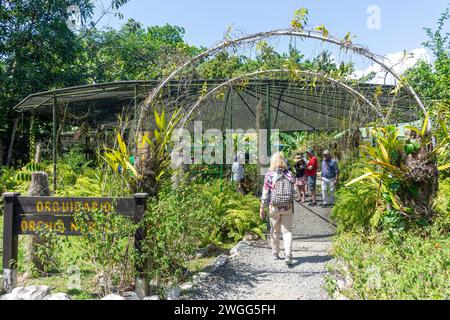 Orquidaria Orchid Nursery, Soberania National Park, Canalera de Gamboa, Panama City, Panama Province, Republic of Panama Stock Photo