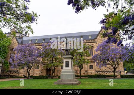 ADELAIDE, SA AUSTRALIA - 23 NOV 2023: The Goodman Crescent Lawns at The University of Adelaide, South Australia. Stock Photo