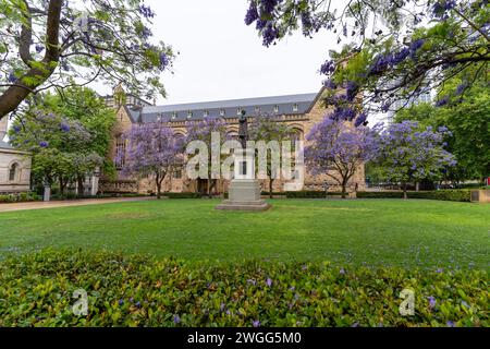 ADELAIDE, SA AUSTRALIA - 23 NOV 2023: The Goodman Crescent Lawns at The University of Adelaide, South Australia. Stock Photo