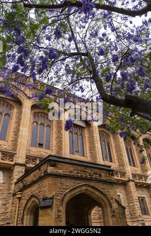 ADELAIDE, SA AUSTRALIA - 23 NOV 2023: The Goodman Crescent Lawns at The University of Adelaide, South Australia. Stock Photo