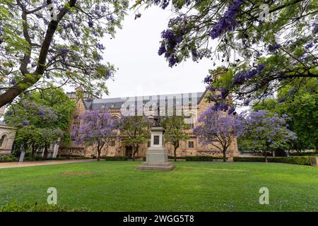 ADELAIDE, SA AUSTRALIA - 23 NOV 2023: The Goodman Crescent Lawns at The University of Adelaide, South Australia. Stock Photo