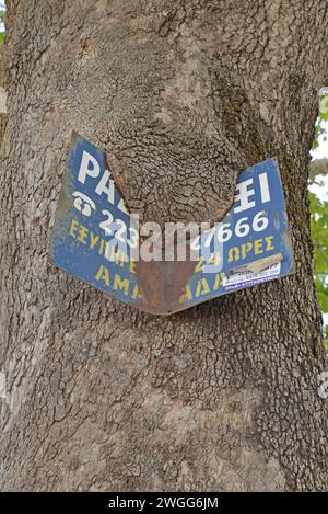 A rusty metal sign being swallowed by a tree growing around it in the Peloponnese, Greece Stock Photo