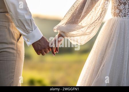 Happy newlyweds walk hand in hand towards their new happy life at sunset. Stock Photo