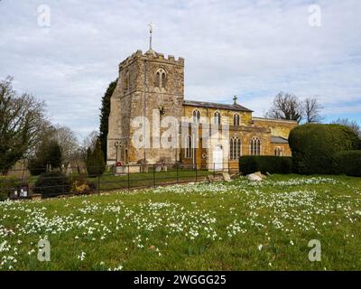 The church of All Saints as viewed from the grounds of Lamport Hall, Northamptonshire, UK; with a carpet of snowdrops in the foreground Stock Photo