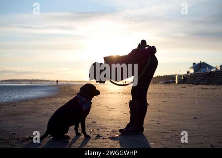 A woman leans down to kiss her dog at Higgins Beach, Scarborough, Maine. (silhouette) Stock Photo