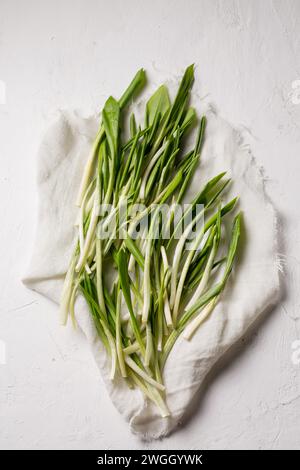 Fresh aromatic leaves of wild garlic Stock Photo