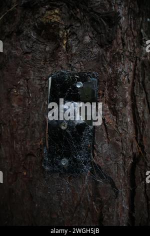 A smart phone that has been destroyed and nailed to a tree in Suffolk, England. The phone screen is cracked and covered in cobwebs. Stock Photo