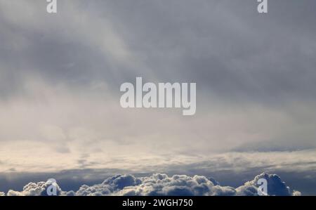 Huge fluffy white cumulus cloud contrasted against a dark grey textureless storm layer Stock Photo