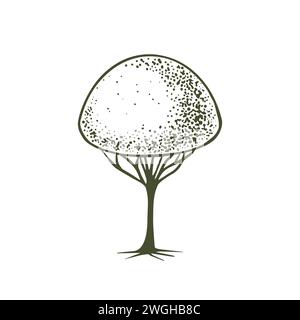 Sketch of topiary conifers. Sheared thuja sphere. Geometric trees for advertising and landscape design. Isolated on white background. Vector Stock Vector