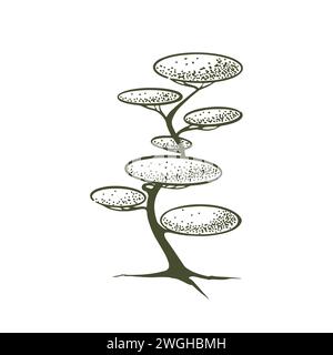 Sketch of topiary conifers. Sheared thuja sphere. Geometric trees for advertising and landscape design. Isolated on white background. Vector Stock Vector